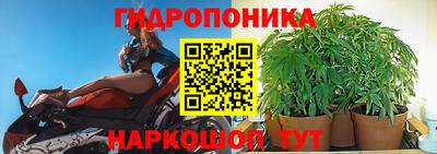 стафф Будённовск