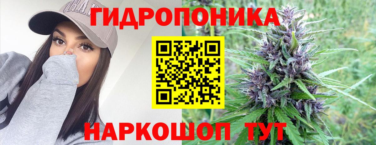 Каннабис Ganja Новодвинск